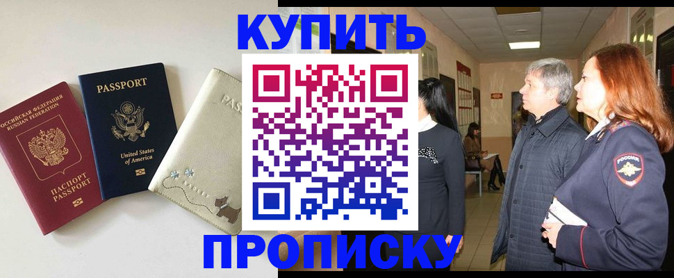 где прописаться в Невеле